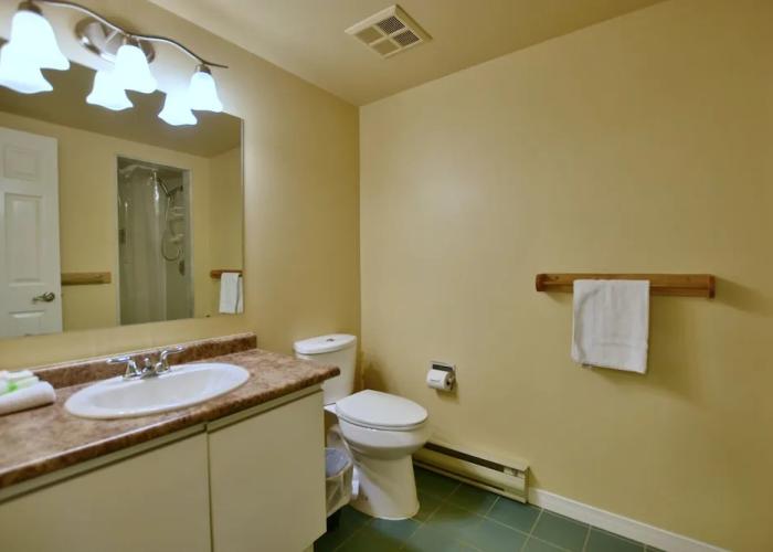 Wintergreen Condos