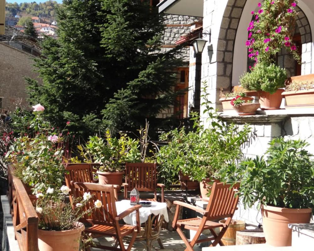 фото Apollon Metsovo
