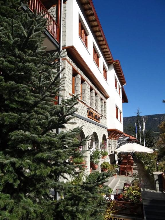 фото Apollon Metsovo