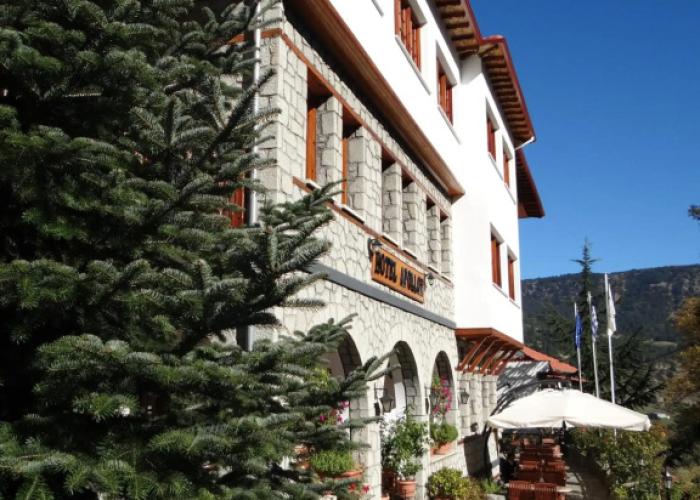 Apollon Metsovo