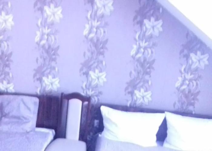 Hotel Prymus