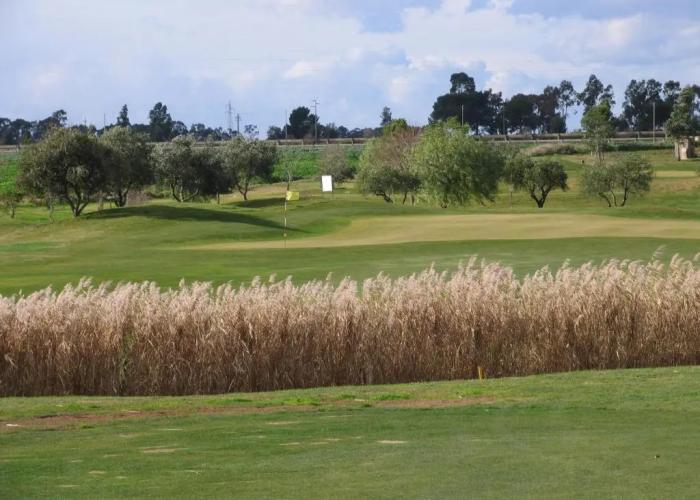 Golf Club Metaponto