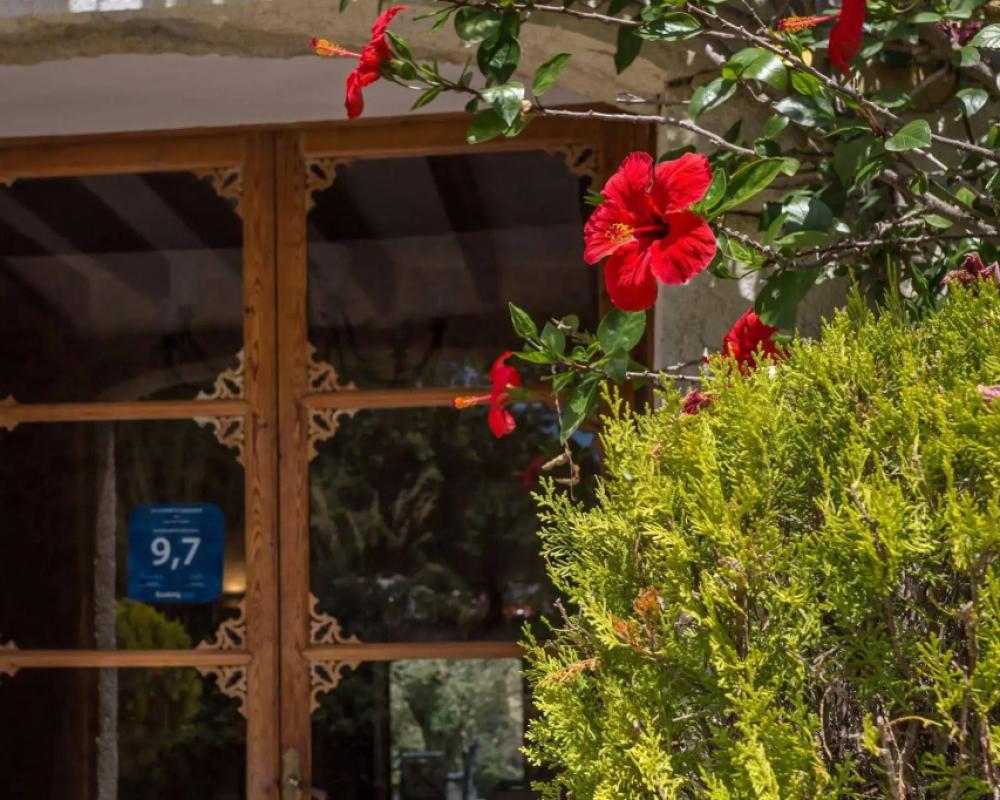 фото Finca Son Ametler