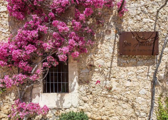 Finca Son Ametler