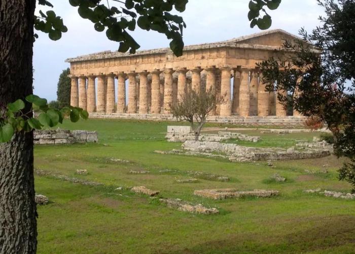 Casale il Saùco