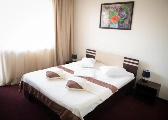 Hotel Panoramic