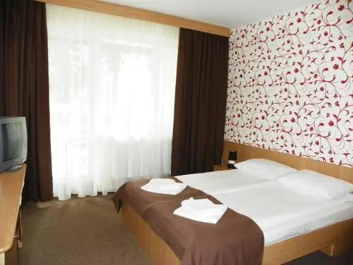 Hotel Muresul Health Spa