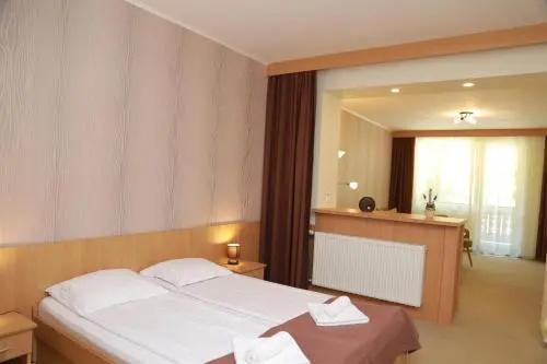 Hotel Muresul Health Spa