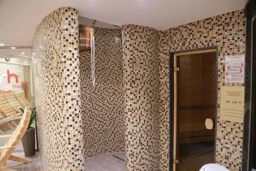 Hotel Muresul Health Spa