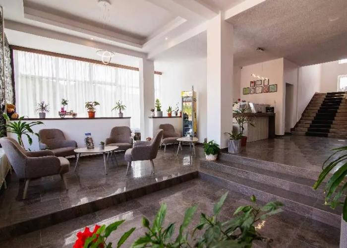 Vila Ursul Negru