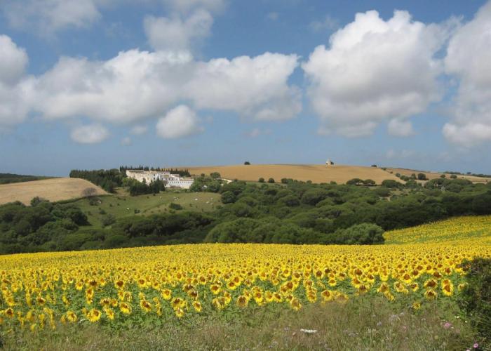 El Palomar de la Breña