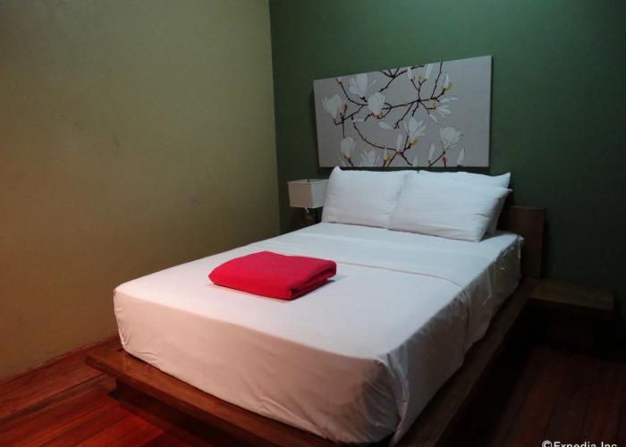 The Purple Tree Bed & Breakfast