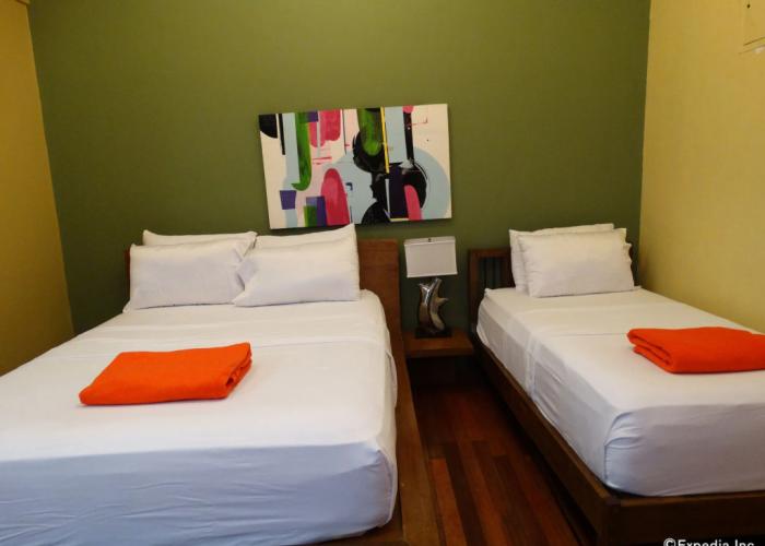 The Purple Tree Bed & Breakfast