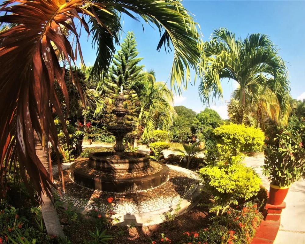 фото Quinta Comala