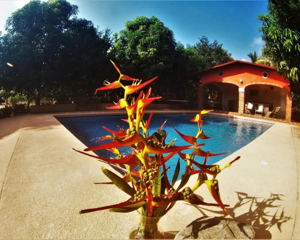 фото Quinta Comala
