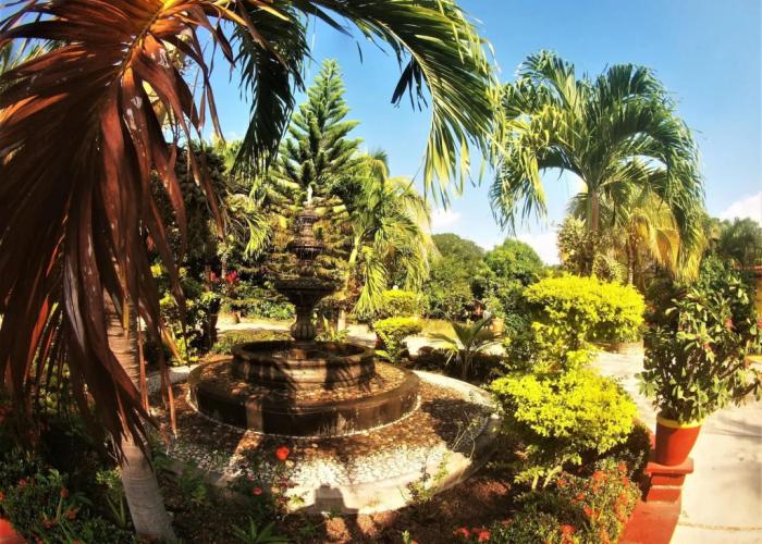 Quinta Comala