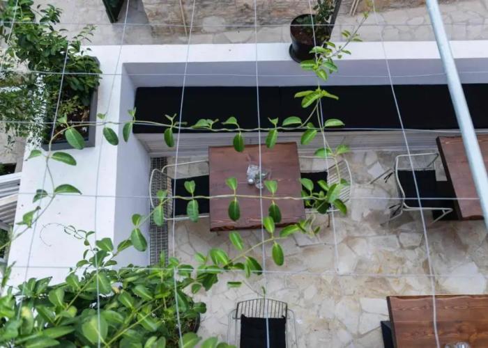 Oinou Strata - Adults Only