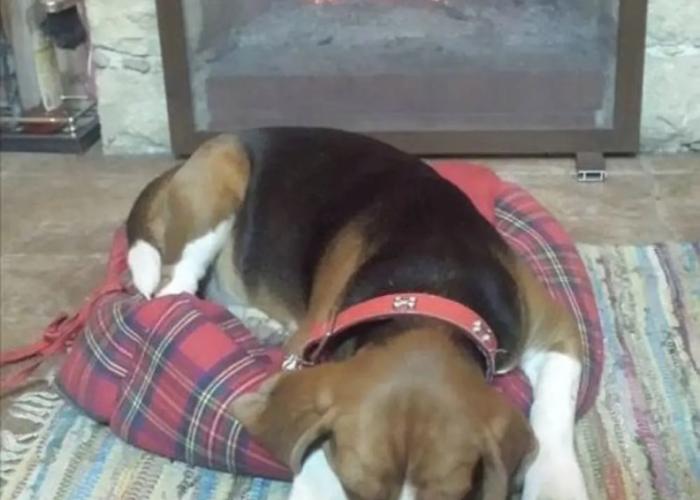 Beautiful 3 Bedr House in Arakapas With Fireplace