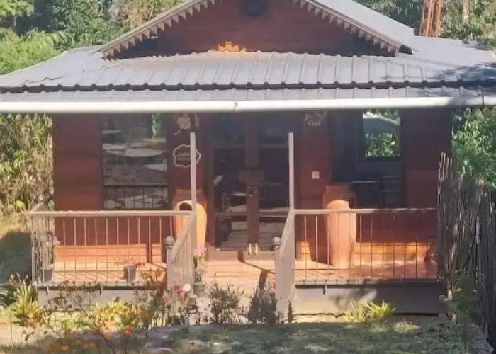 RedPanda Jungle Camp