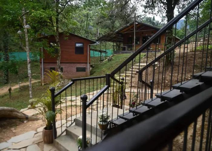 RedPanda Jungle Camp