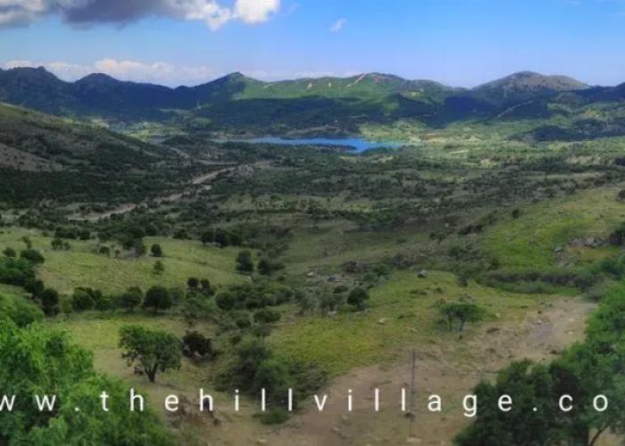 The Hill Village House