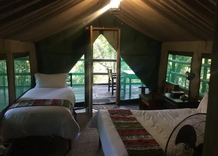 Phophonyane Falls Ecolodge