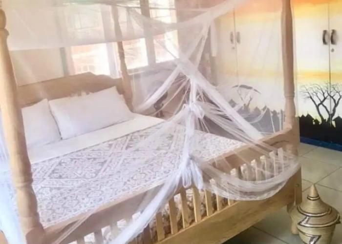 Home stay studio 62 guesthouse
