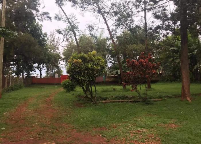 Home stay studio 62 guesthouse