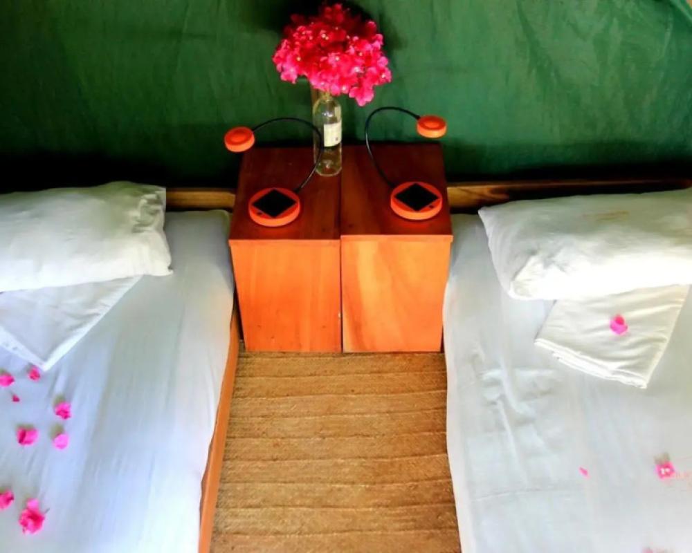 Distant Relatives Ecolodge & Backpackers