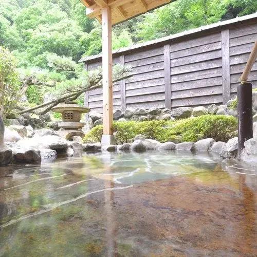 Hotel Hakuuntei