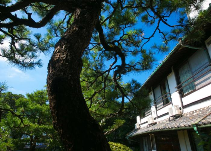 Ryokan Wataya