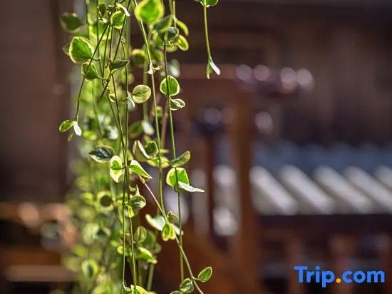 Chuniaochao Boutique Vacation Inn