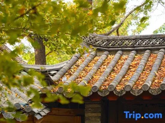 First Sight Boutique Cottage