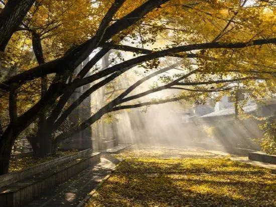 First Sight Boutique Cottage