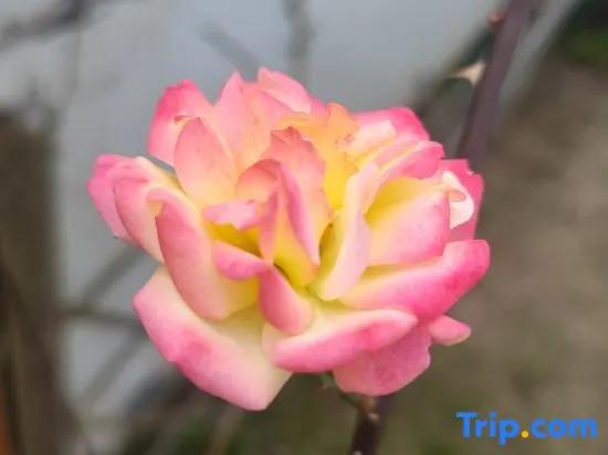 Yunqi Courtyard Hot Spring Inn