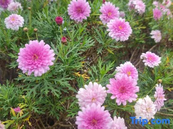 Yunqi Courtyard Hot Spring Inn