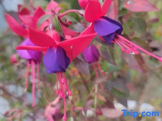 Yunqi Courtyard Hot Spring Inn