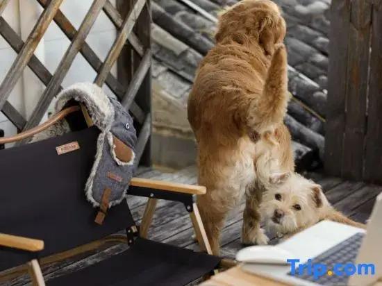 Lushang Youth Hostel