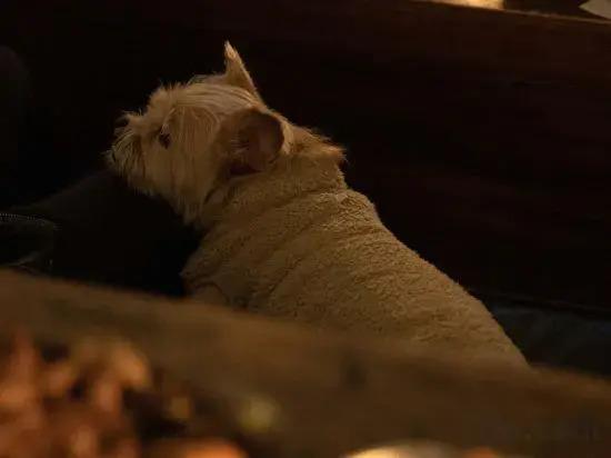 Lushang Youth Hostel