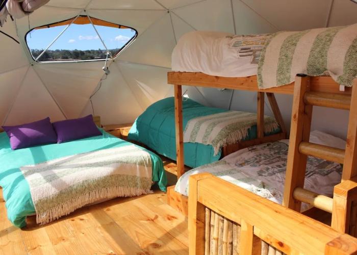 The Sirena Insolente Hostel