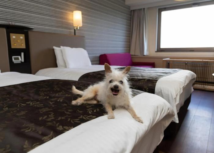 APA Hotel & Resort Jyoetsu Myoko