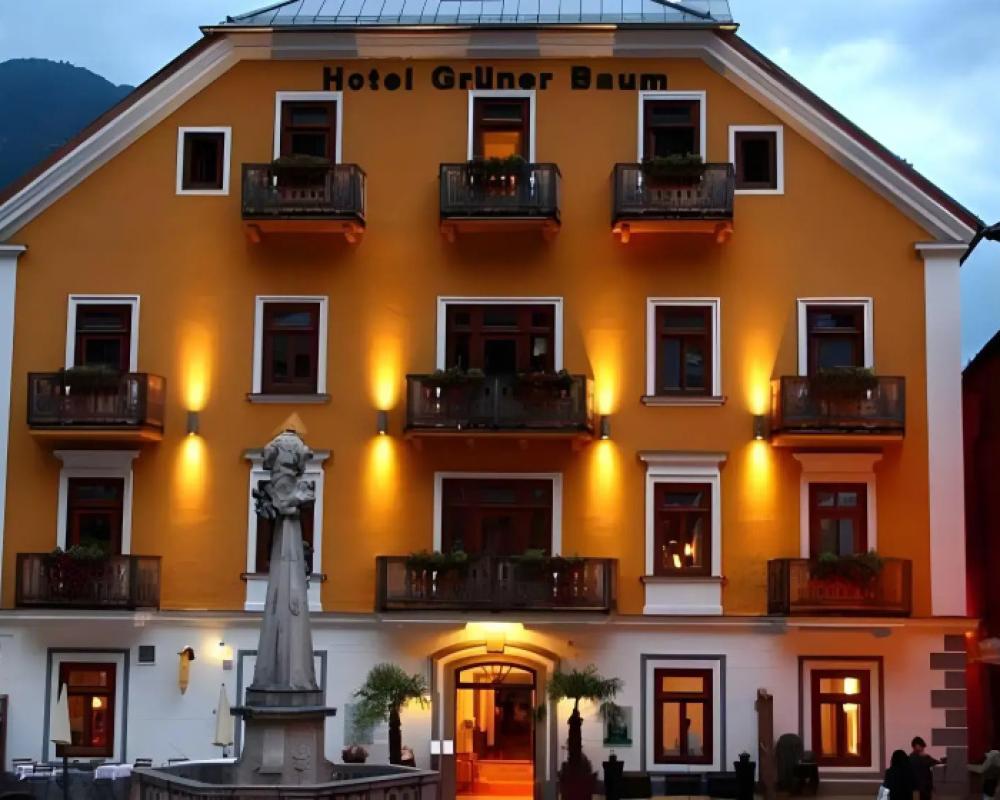 фото Seehotel Gruner Baum