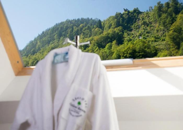 Seehotel Gruner Baum