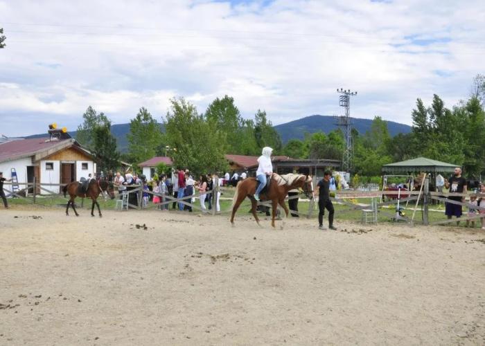 Emirbey Atli Turizm ve Dogal Yasam Koyu