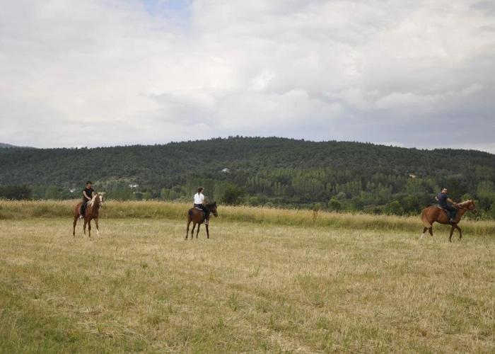 Emirbey Atli Turizm ve Dogal Yasam Koyu