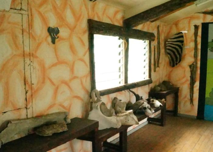 Siana Springs Tented Camp
