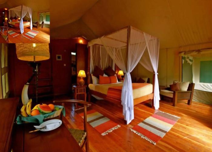 Mara Leisure Camp