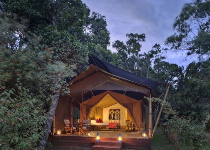 Elewana Elephant Pepper Camp
