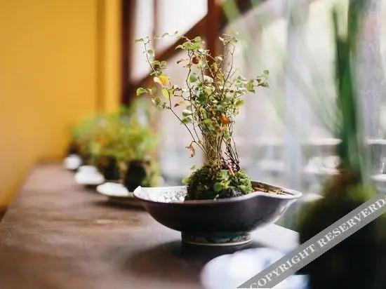 Hot Spring Guesthouse Tojiya