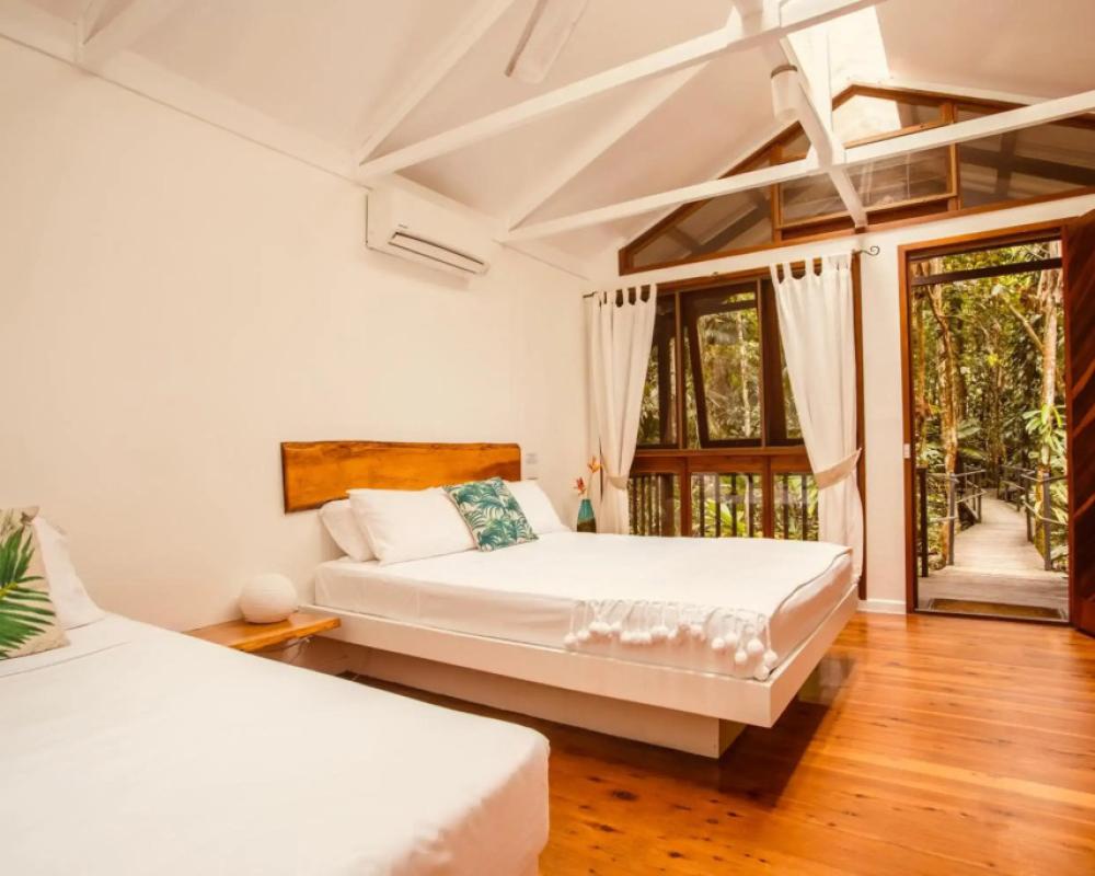 Daintree Wilderness Lodge